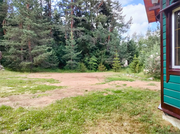 ������� ������� ������ - ������ �����