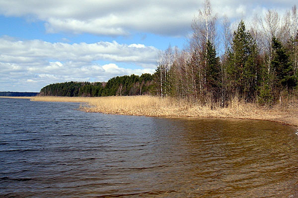 ������� ��������